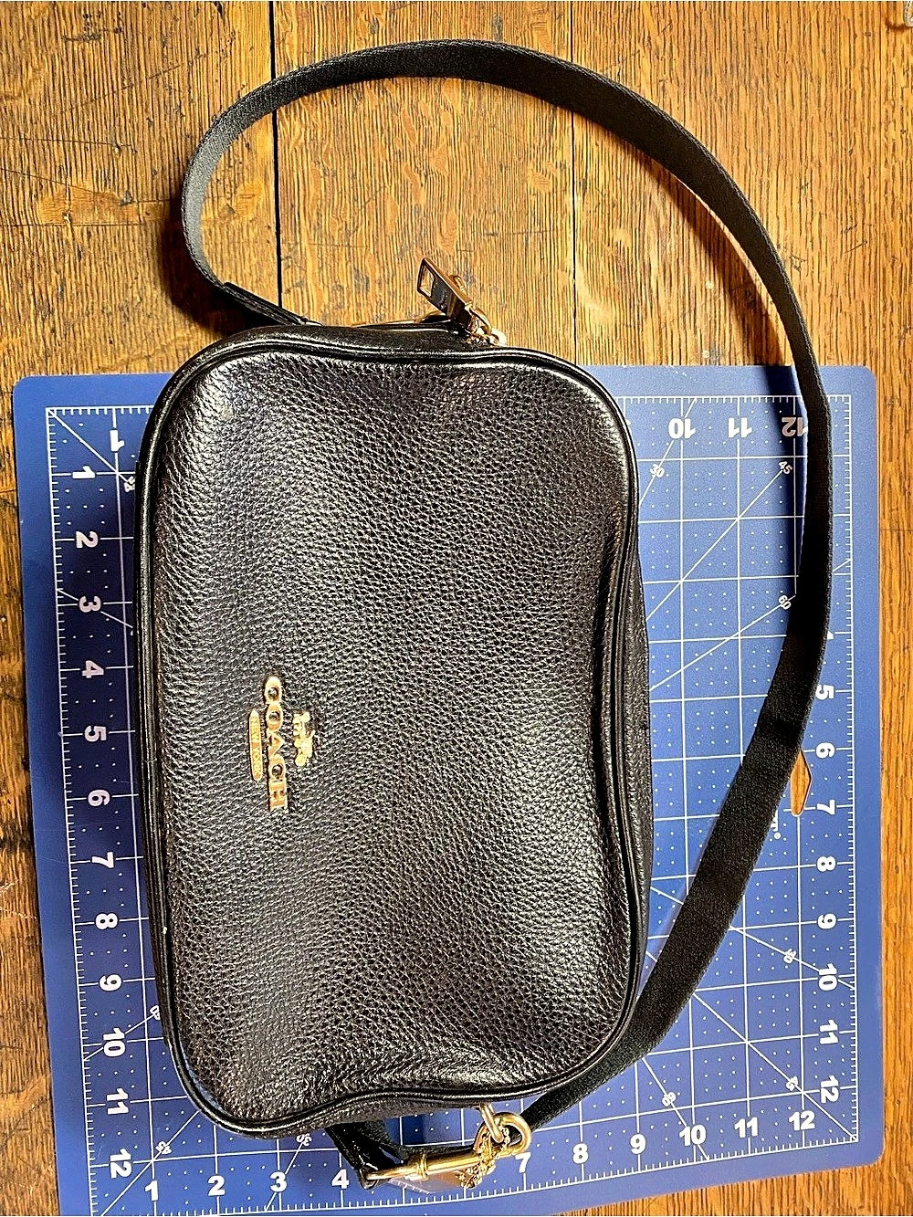 Coach Jes Crossbody Bag Black Pebbled Leather Double Zip Gold Hardware